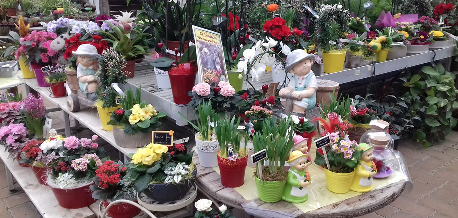 Jardipassion, Jardinerie indépendante à Jonchery, près de Chaumont